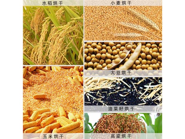 蔬菜烘幹（gàn）機設備功能效（xiào）果符合不同（tóng）物料的幹燥需求
