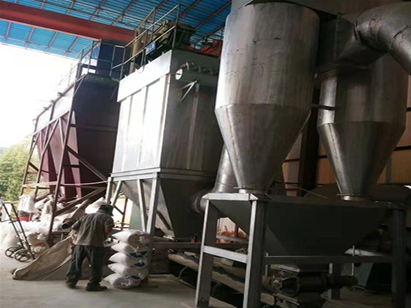 Cyclone dust collector
