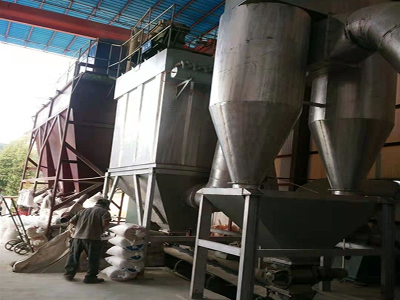 Cyclone dust collector