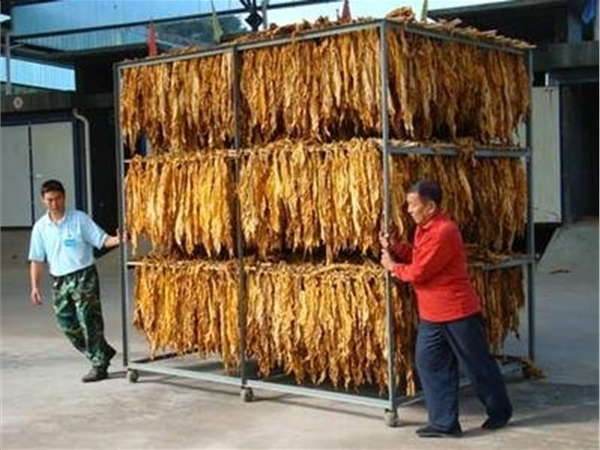 WYH係（xì）列煙（yān）草烘幹箱(點（diǎn）擊進入）