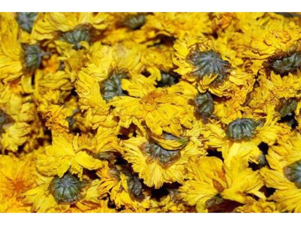 箱式菊花烘幹機和連續式菊花烘幹機介紹
